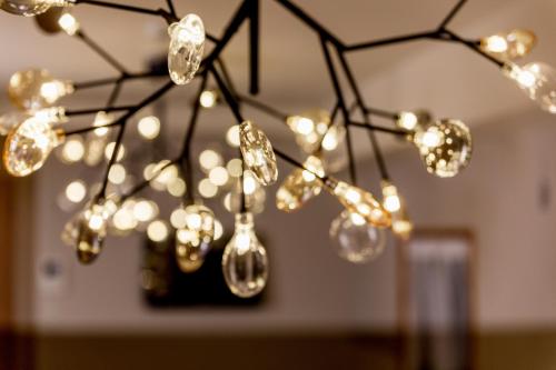 Tokyo Inn Nishi-Shinjuku 110/ Nishi-Shinjuku Center Area/ 西新宿中心地带 交通便利 新宿中央公园 都厅