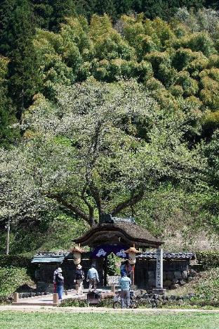 天然温泉羽二重の湯 ドーミーイン福井