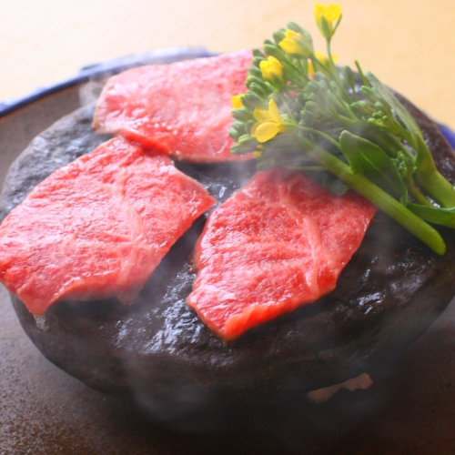 Ajisu Onsen Teshima Ryokan