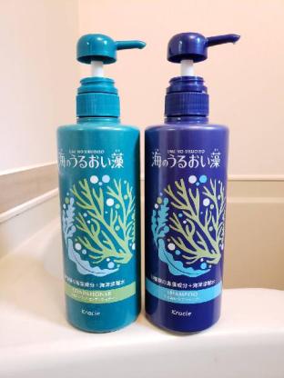 ［博多］アパートメント（19m²）｜ 1ベッドルーム／1バスルーム