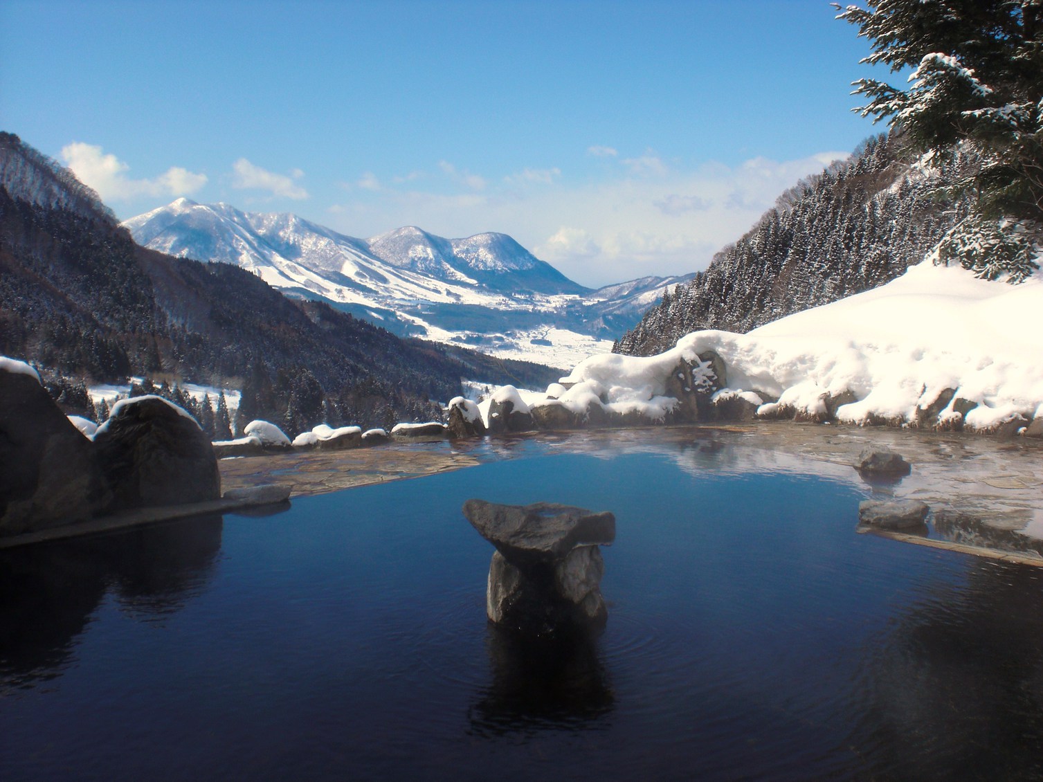 Maguse Onsen Nashinokiso