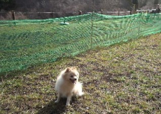 Yasuragi no Bettei Shikitei