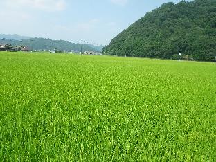 ［安芸高田］一軒家（200m²）｜ 1ベッドルーム／1バスルーム