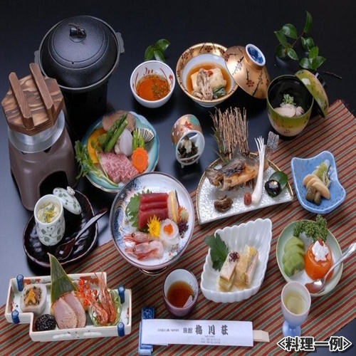 Shiobara Onsen Yuyado Umekawaso