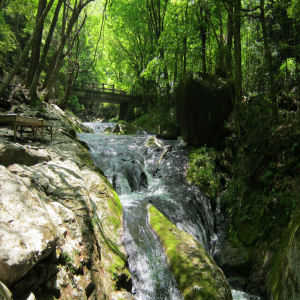 Shiobara Onsen Kokorozukushi no Yado Nuriya