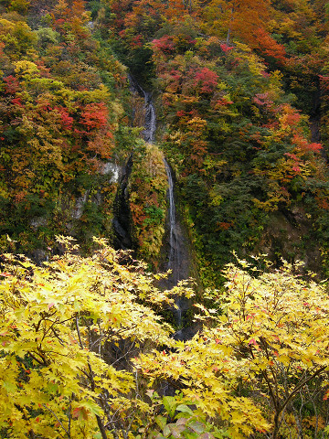 Tsubame Onsen Hotel Hanabun