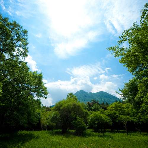 Yufuin Sanso Donguri