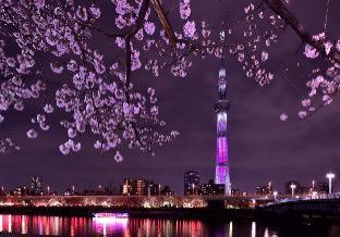 レインボービレッジ上野