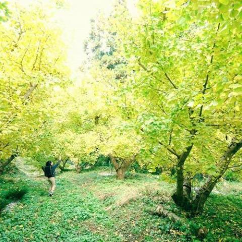 お山の宿　みちつじ