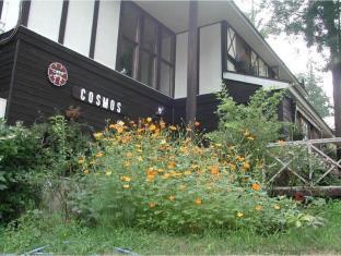 花とくつろぎ こすもす