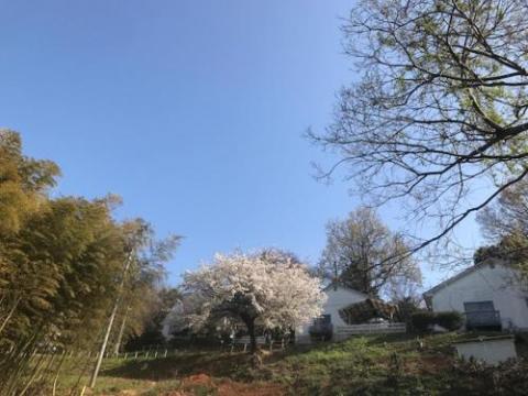 マリンビューしまね