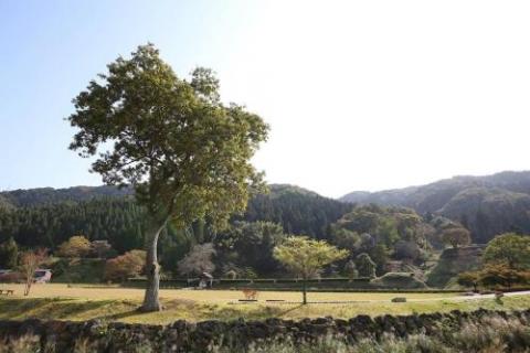 ジャパニーズ スタイル トラディショナル ヴィラ ビルト 120 イヤーズ