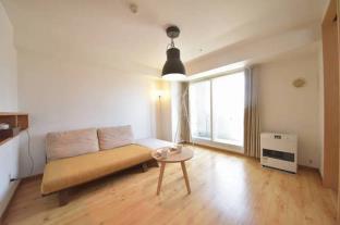 A1306 1 Bedroom Apartment in Sapporo