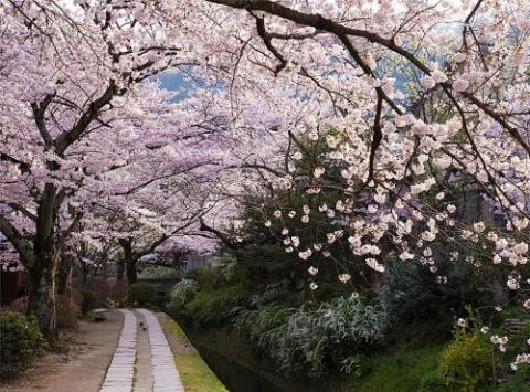 My Kyoto Pied à Terre ICHINOAN 壱の庵