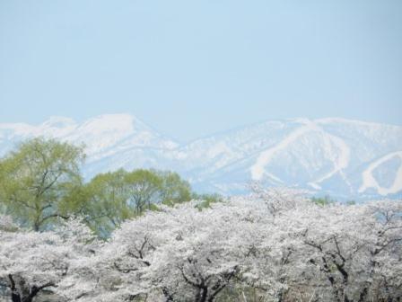ゲストハウス蘖6畳