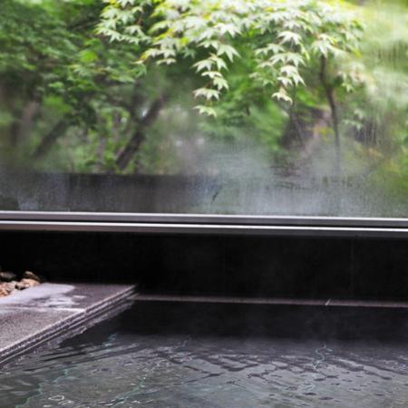 Kusatsuyusai no Yado Shakunage (Gunma)