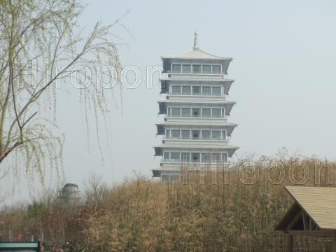 西安世界園芸博覧会 38