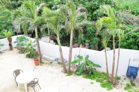 いらぶじまどるふぃん