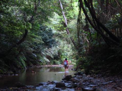 シアターリゾート