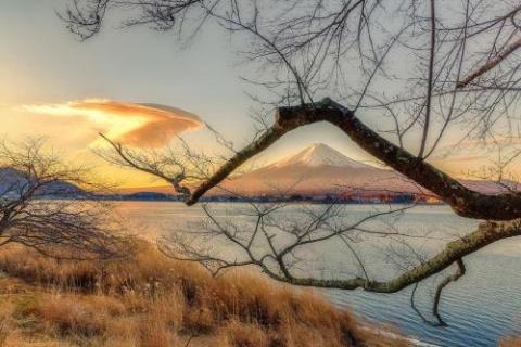 tocoro. Mt.Fuji Uzuki