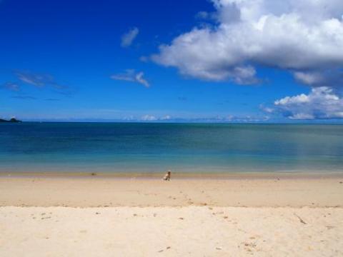Beach House Purau
