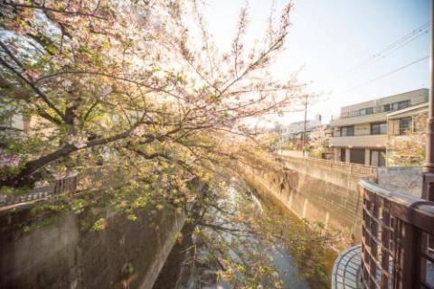 Nestle Tokyo Duplex Itabashi 02