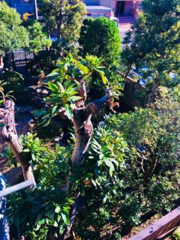 ゲストハウス 鎌倉ZEN-JI