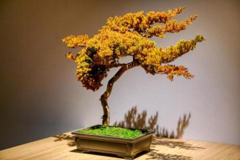 Hotel Lotus Koiwa (Adult Only)