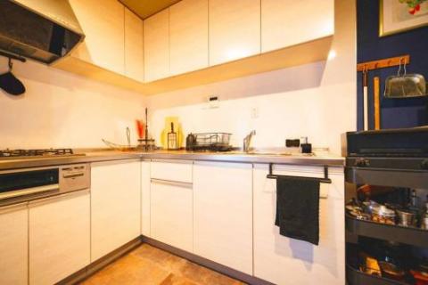 Indigo flat in Asakusa