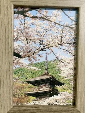 Ueno-Akihabara Apartment/上野 御徒町 秋叶原 近距离 高岛屋 百货 海鲜 优尼库近在咫尺403