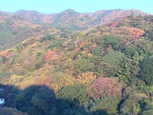 ゲストハウス倭荘