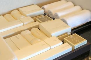 スカイククル石垣島