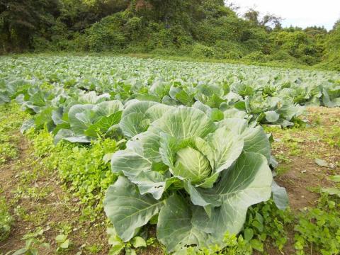Ishinomaki Apartment Hotel