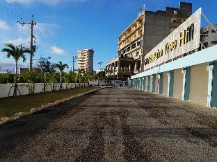 パームツリーヒル