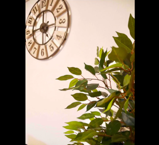 ［札幌］スタジオ アパートメント（25 m²）／1バスルーム