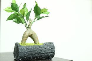 アメニティ充実！枚方パークも近い！快適なおうち in 寝屋川