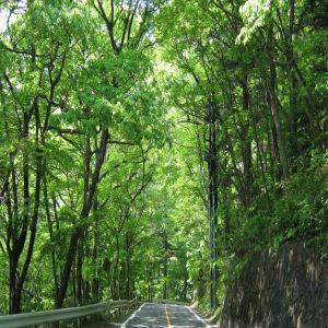 Shiobara Onsen Kokorozukushi no Yado Nuriya