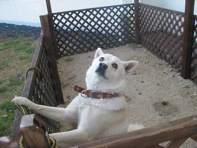 Okayama Ikoi no Mura