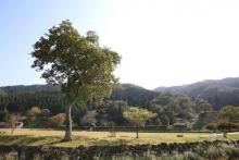 ジャパニーズ スタイル トラディショナル ヴィラ ビルト 120 イヤーズ