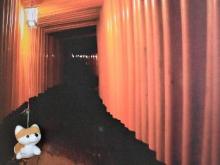 ステイ　イン　狐都