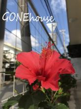 Gone House