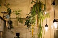 ゲストハウス田家