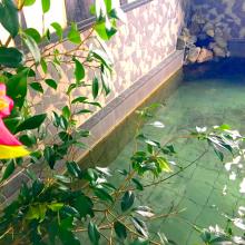 Oyasukyo Onsen Yama no Shou