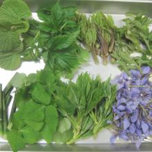 Yuyama Onsen Ichifusa Kanko Hotel