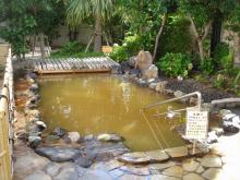 Nejime Onsen Neppikan