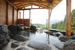 Shiobara Onsen Yuyado Umekawaso